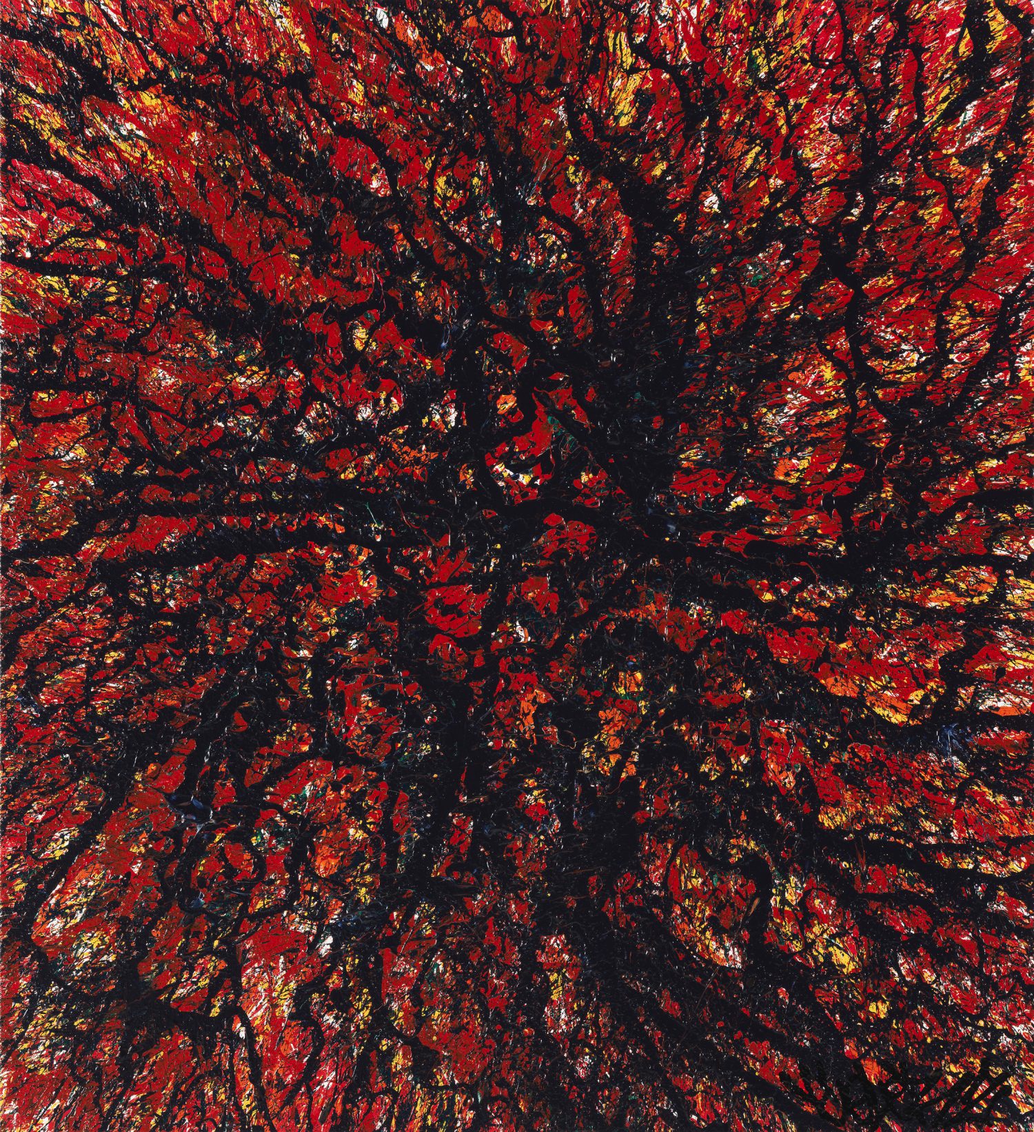 COLORZ MAGMA AST 86x79 cm 2021